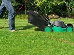  ELECTRIC LAWN MOWERS
