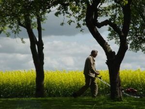  How To Change Lawn Mower Oil