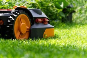  ELECTRIC LAWN MOWERS BEST