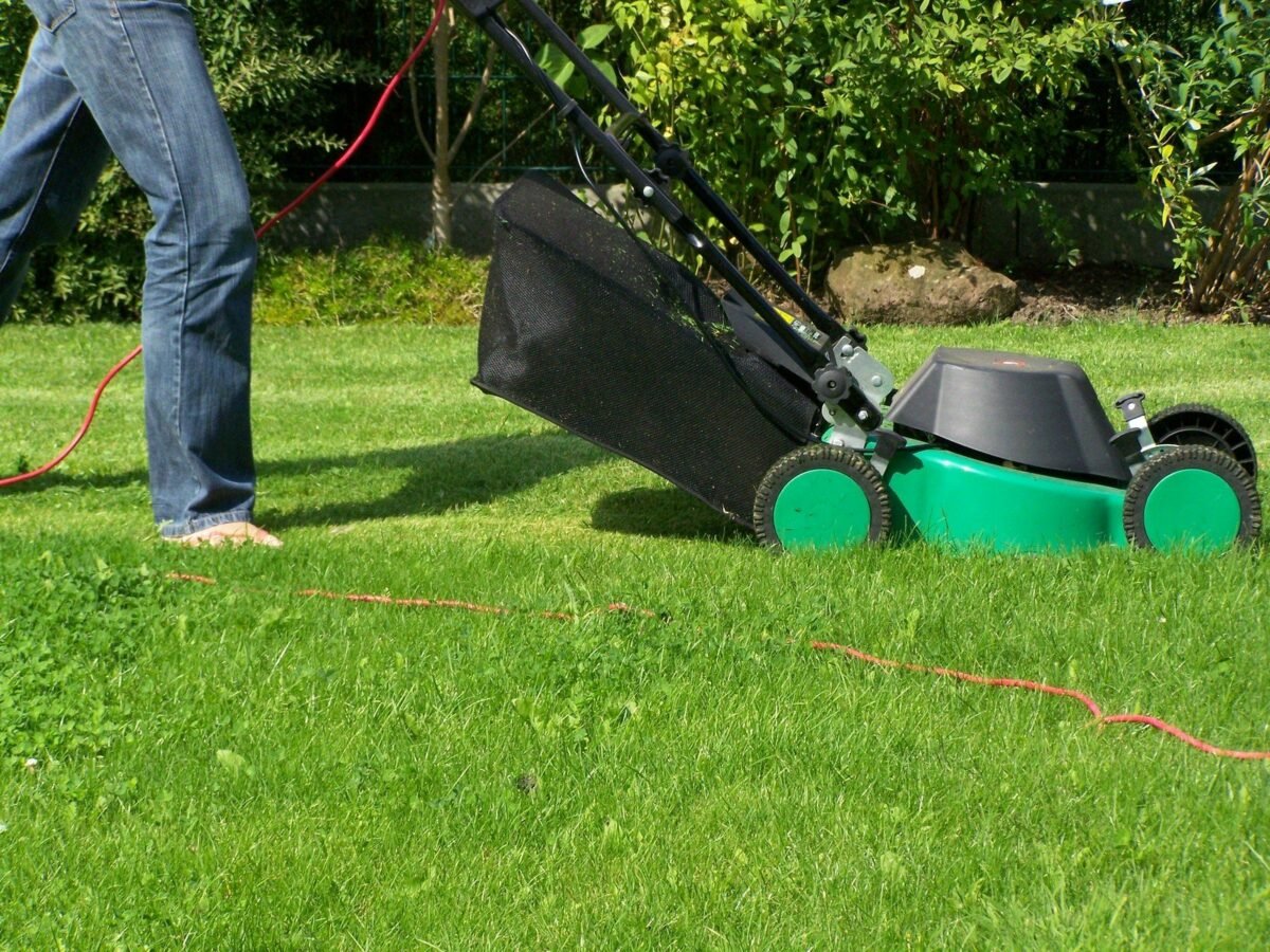 Electric LawnMower VS Gas (Best Buying Choice)