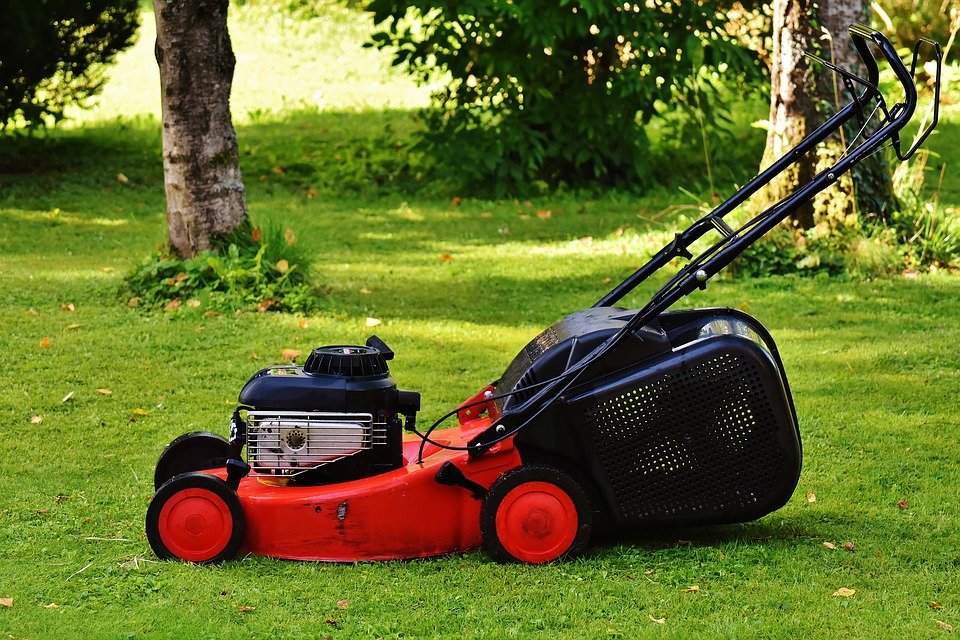 Top 10 Lawn Mower With Bag In 2021