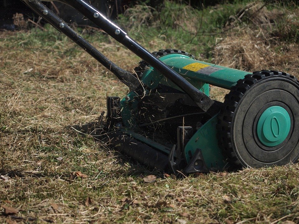 Which Lawn Mower Is The Best Buying Choice